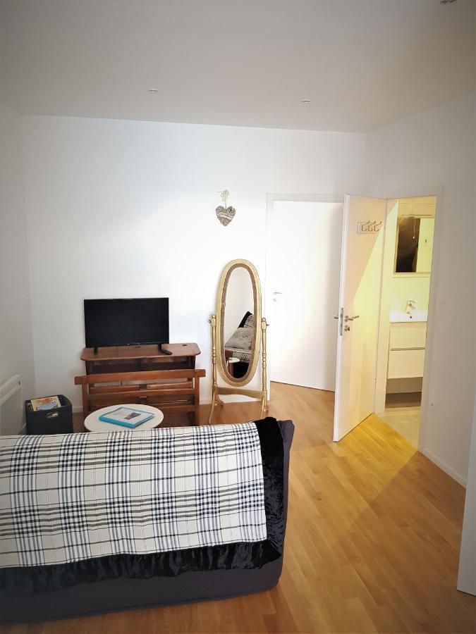 Au Gre De L'Ill 'L'Ill' Apartment Horbourg Luaran gambar