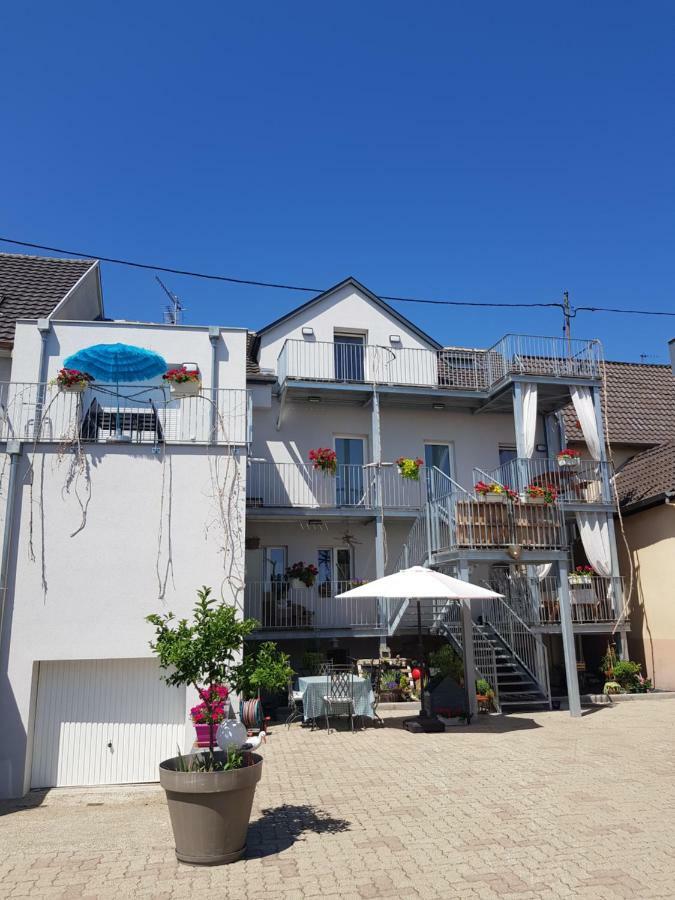 Au Gre De L'Ill 'L'Ill' Apartment Horbourg Luaran gambar