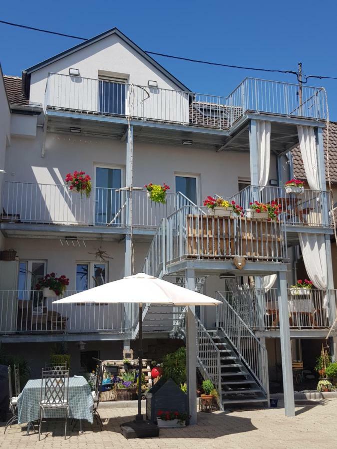 Au Gre De L'Ill 'L'Ill' Apartment Horbourg Luaran gambar